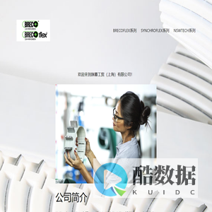 德国BRECOFLEX同步带