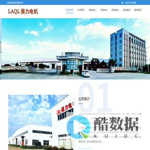 六安强力电机有限公司