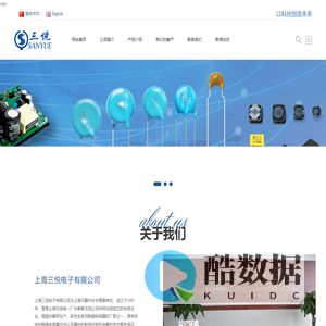 上海三悦电子有限公司