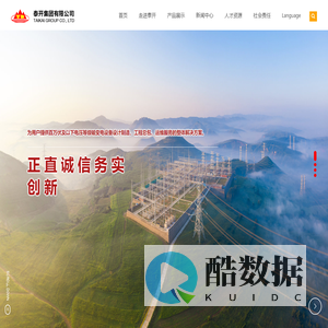 泰开集团有限公司