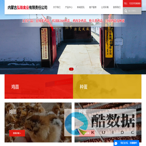 内蒙古临河区弘锋禽业有限责任公司-黑良凤鸡苗厂家-绿壳蛋鸡苗厂家