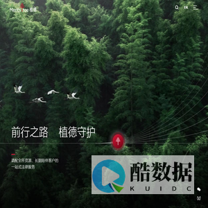 植德律师事务所