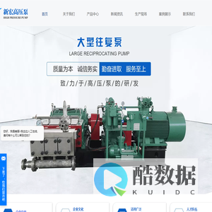 【官网】高压往复泵