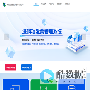 湖南数电票技术服务有限公司