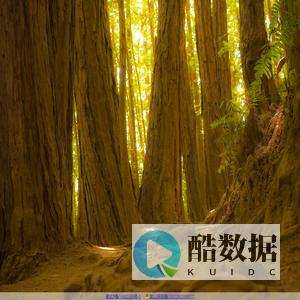 个人技术开发经验