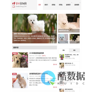 茶杯犬,茶杯猫,小香猪,迷你袖珍泰迪贵宾狗