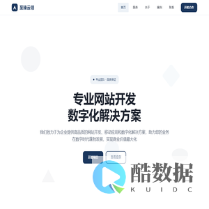 至臻云翎 - 专业网站开发服务