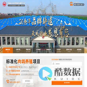 种鸽-肉鸽-天成鸽业养殖基地