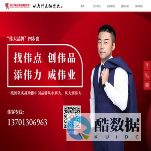 徐大伟品牌战略咨询