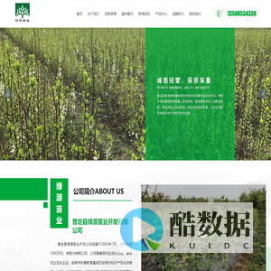 绿源苗业【官网】