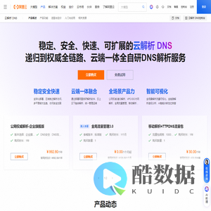 云解析DNS - 企业级域名解析服务与解决方案 - 阿里云