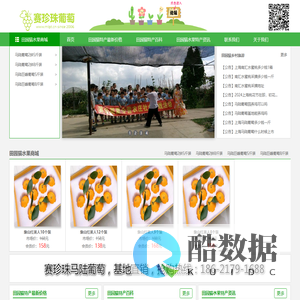 马陆葡萄网-马陆葡萄采摘攻略|新品种|礼盒装|价格多少钱一斤