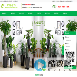 合肥办公室绿植租赁_花卉租摆出租【专业上门养护】-景弘园艺公司