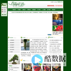 深圳市西海花港园艺有限公司|深圳室内花卉租赁|深圳室外花卉租赁|深圳植物花卉|深圳花卉|深圳花卉市场|深圳花卉植物|深圳花卉租摆