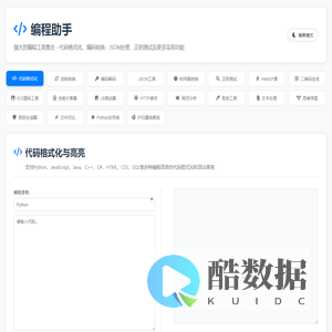 编程助手