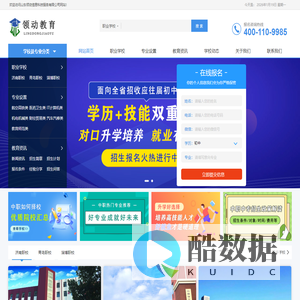 山东领动信息科技服务有限公司