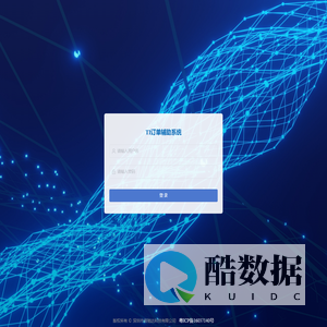 TI订单辅助系统