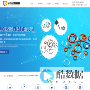 特种橡胶密封件