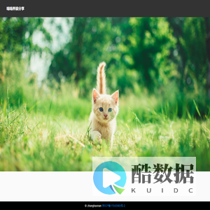 爱莱克发货清单