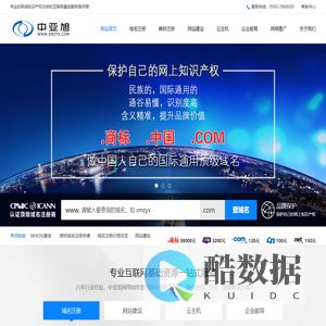 专业网络品牌中文域名