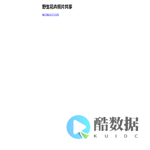 野生花卉照片共享