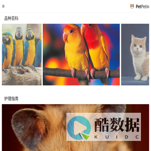 宠物健康与科学养护指南