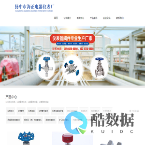 扬中市海正电器仪表厂