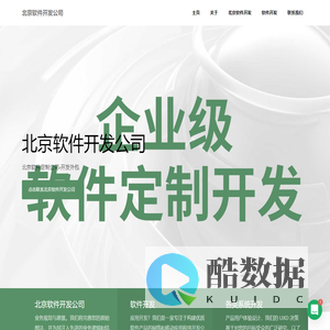 北京软件定制公司