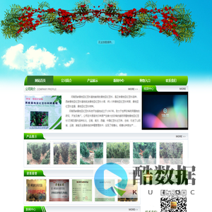 曼地亚红豆杉,曼地亚红豆杉苗木,曼地亚红豆杉基地,河南南阳西峡宝福康红豆杉种植有限公司