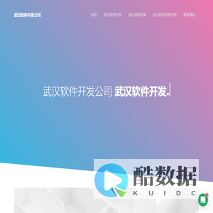 武汉软件外包公司