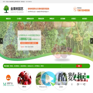 吉塞拉,樱桃苗,吉塞拉樱桃,吉塞拉砧木,桃树苗,吉塞拉樱桃苗,吉塞拉小苗,矮化樱桃苗,山东樱桃苗