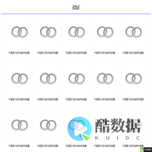 临清市政和滚针轴承有限公司