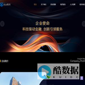 龙金数科
