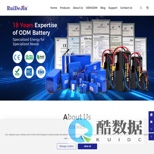 customized inverter with battery charger-Ruidejin