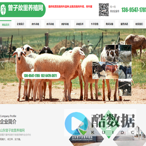 嘉祥县曾子故里养殖专业合作社_济宁养殖,山东养殖,济宁鲁西黄牛,山东小尾寒羊,济宁肉驴驹