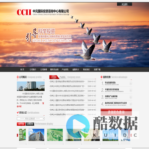 中元国际投资咨询中心有限公司