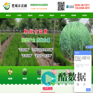 肥城市苗圃,核桃苗价格,侧柏苗批发,黑松苗价格,樱桃苗批发,桃树苗,银杏树苗批发,柳树苗价格,绿化苗批发