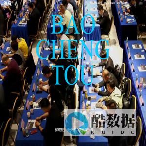 保成投_保成商业运营&创投 BCB