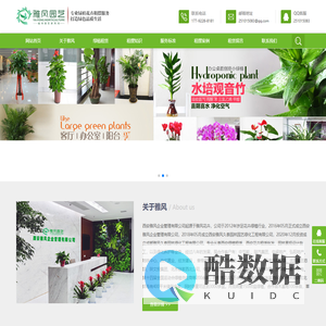 西安绿植租赁,西安绿植租摆,西安花卉租赁,西安办公室绿植租摆