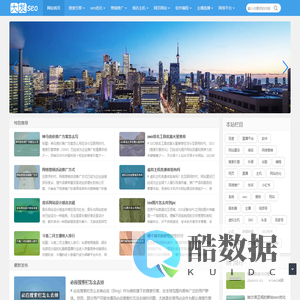 大发SEO技术分享