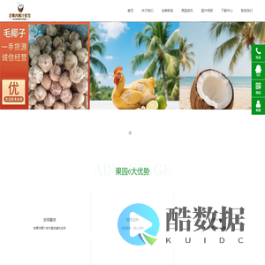 海南椰本食品有限公司