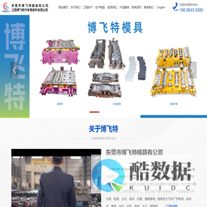 东莞市博飞特模具有公司