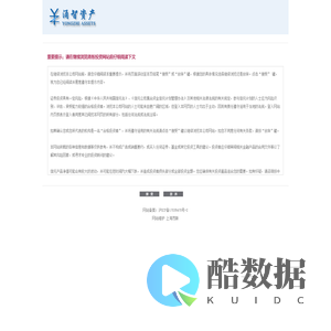 领先的金融投资者