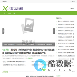 小旋风百科