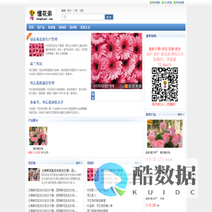 云南鲜花速递网-懂花弟专注鲜花批发,鲜花价格,鲜花批发怎么找货源,婚庆公司用花/花店/订购/电话