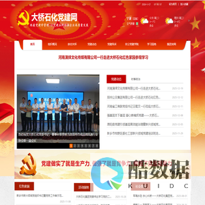 大桥石化党建网站