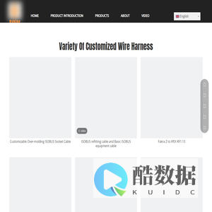 Custom Electrical Wire Harness - Bshine