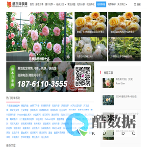 藤本月季网-月季知识分享网站-月季苗批发基地