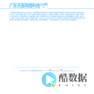 广东天宸网络科技公司