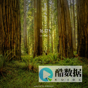 真我风采